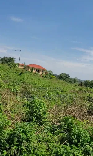 Land for Sale in Gayaza Dundu