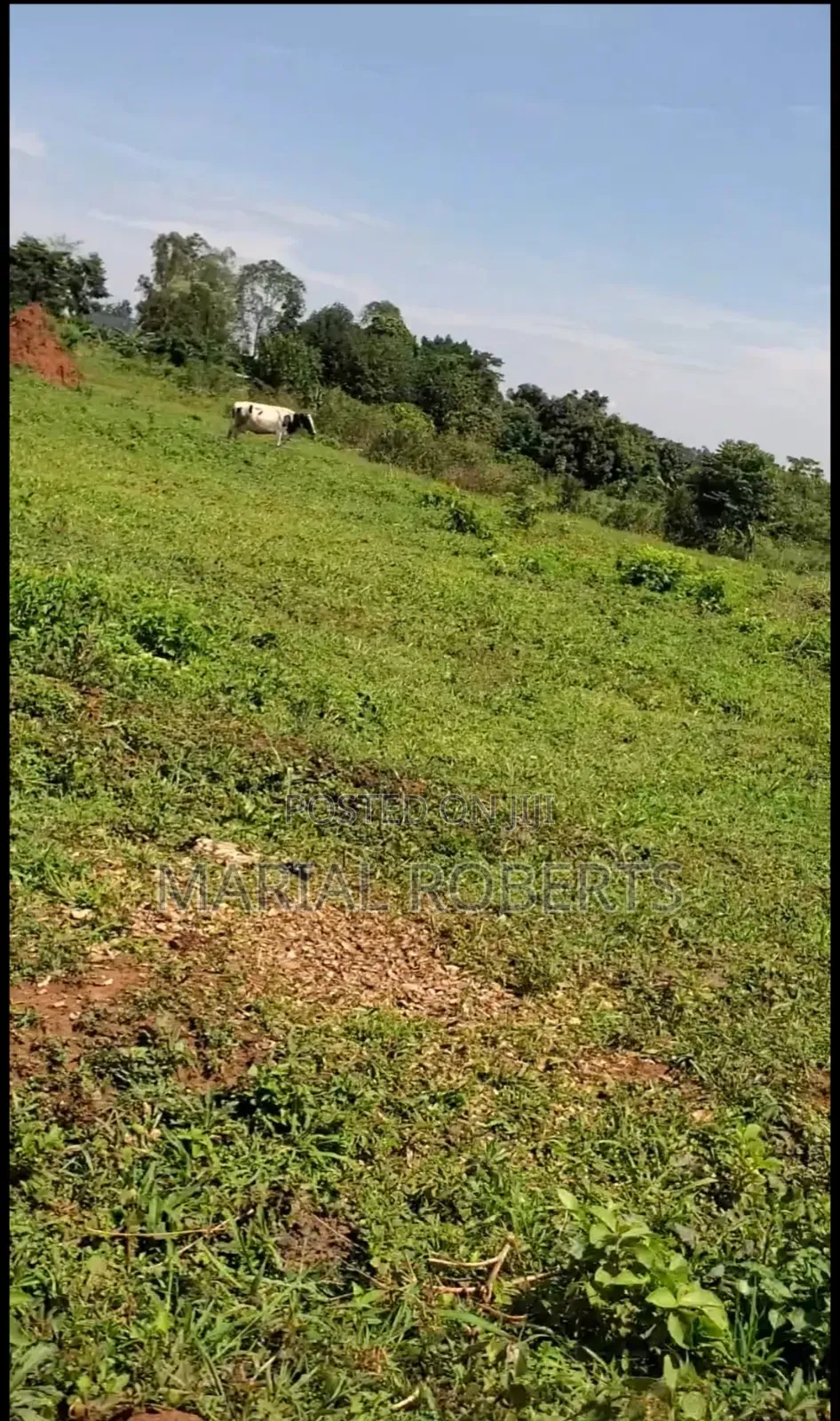 Land for Sale in Gayaza Dundu