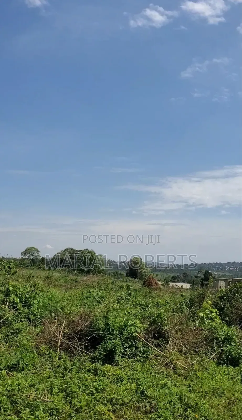 Land for Sale in Gayaza Dundu