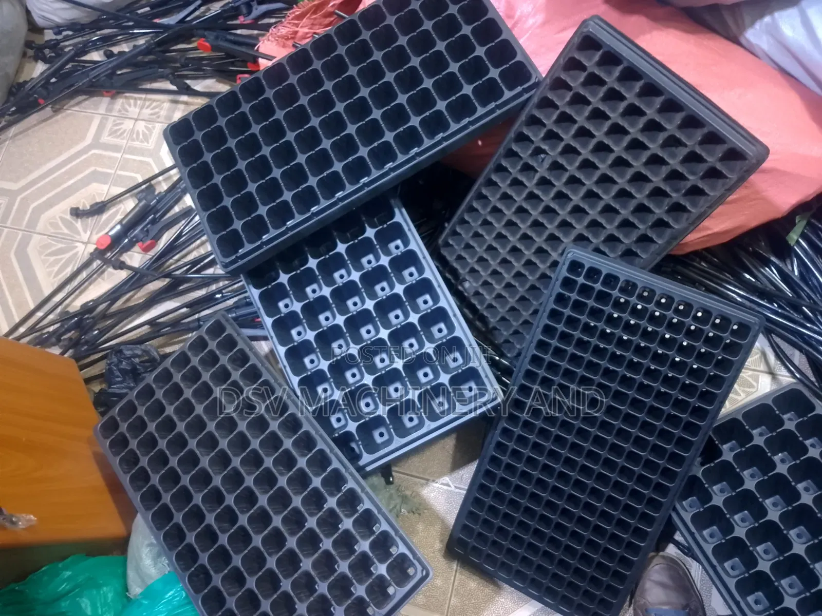Seedlings Trays of Different Sizes