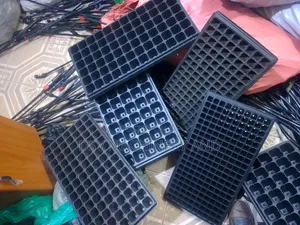 Seedlings Trays of Different Sizes