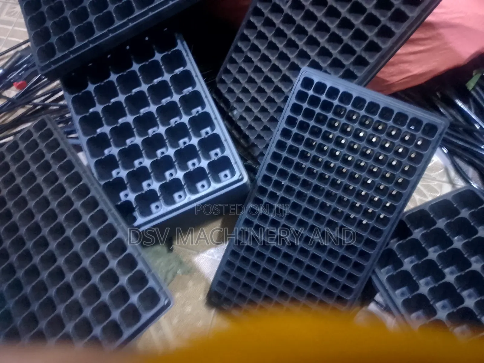 Seedlings Trays of Different Sizes