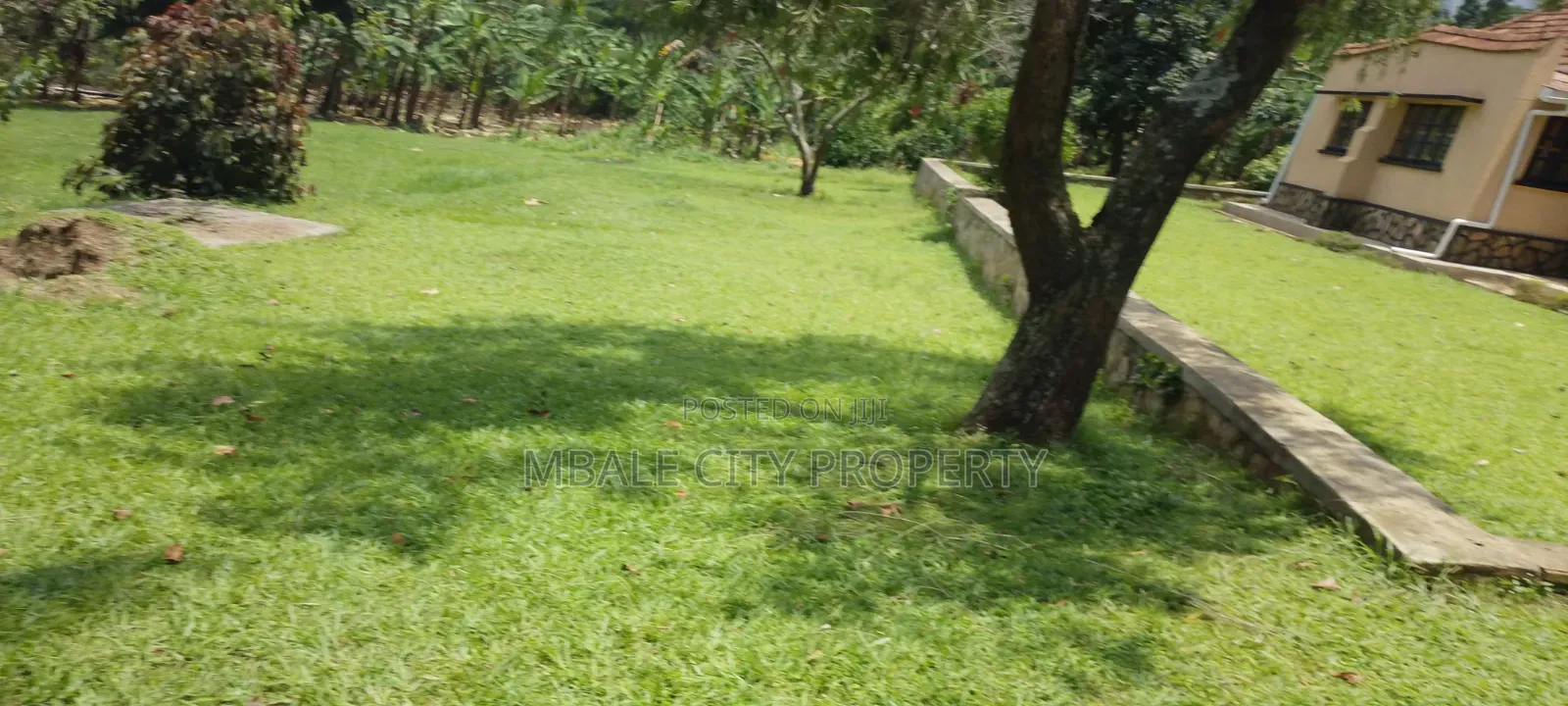 3bdrm Bungalow in Mbale for rent