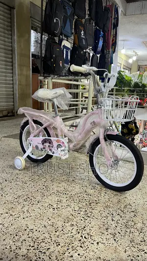 Pink Princess Bicycle