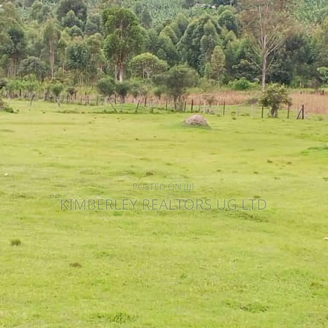 50 Acres for Sale – Bwizibwera Rwanyamahembe