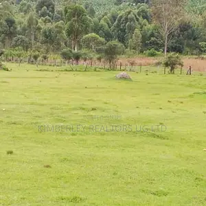 50 Acres for Sale – Bwizibwera Rwanyamahembe