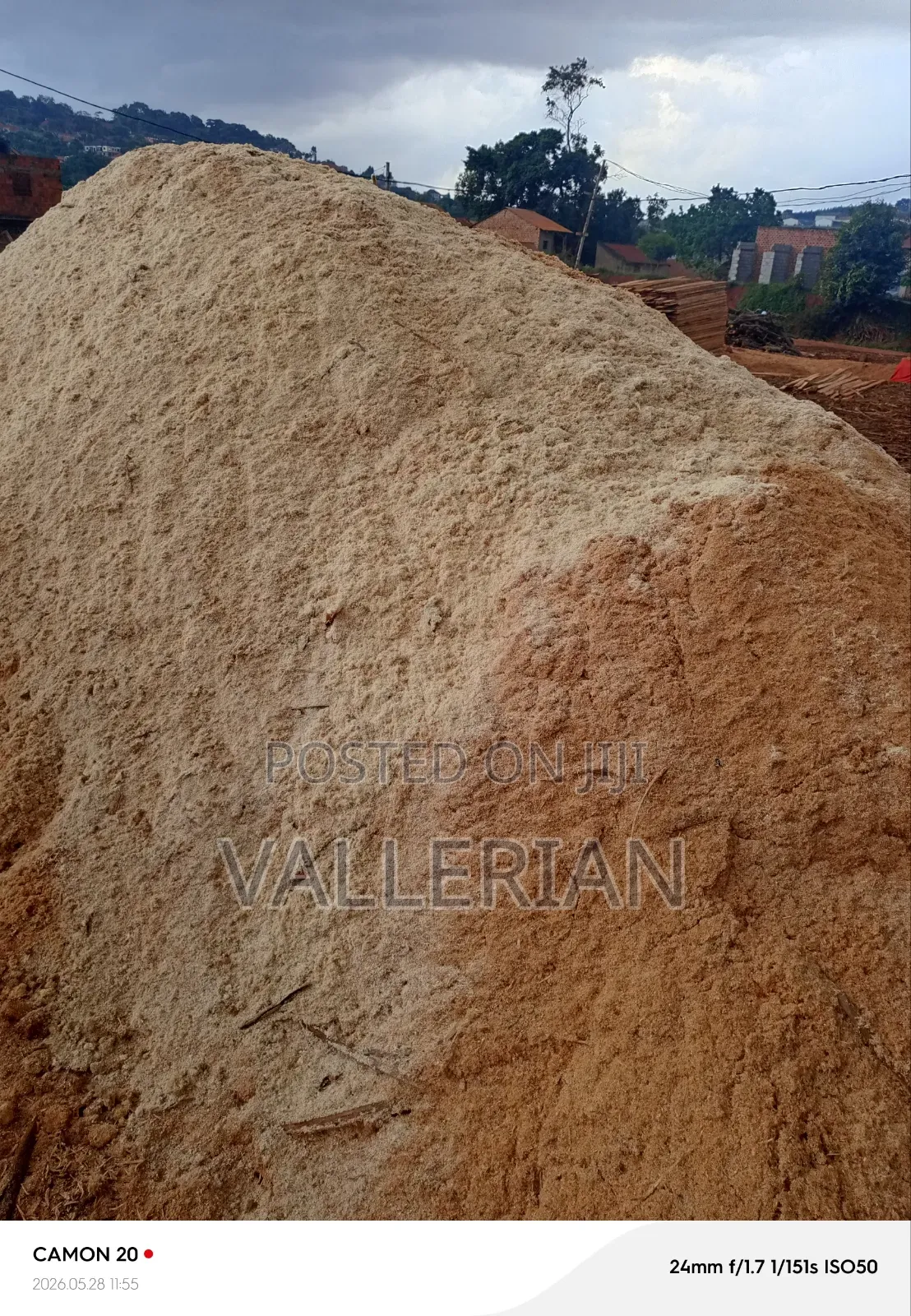 Saw Dust / Epumbu