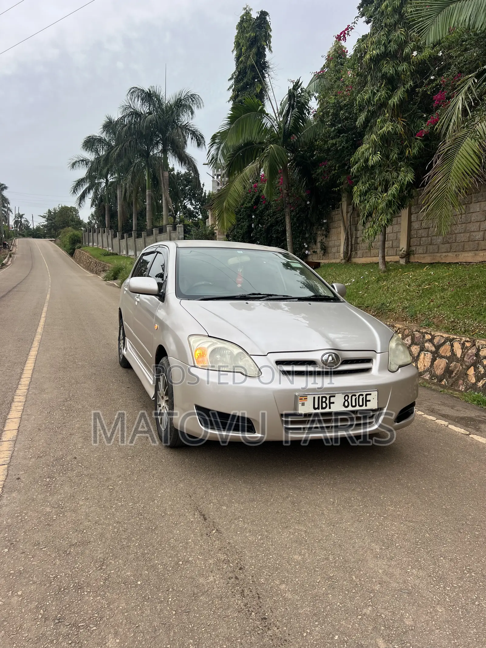 Toyota Allex 2006 Beige