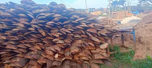 Makooko Tree Offcuts