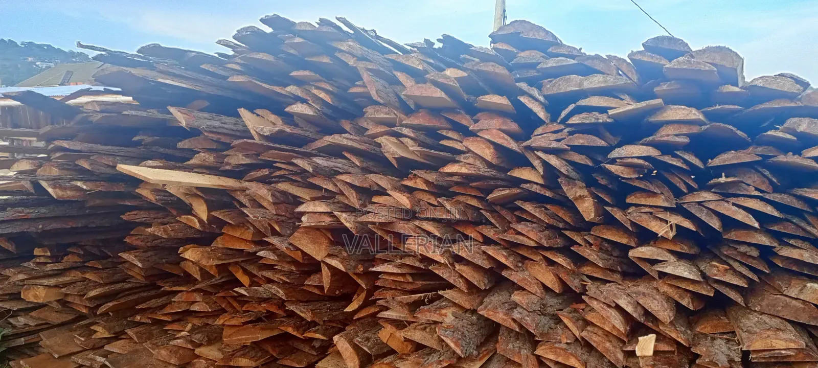 Makooko Tree Offcuts