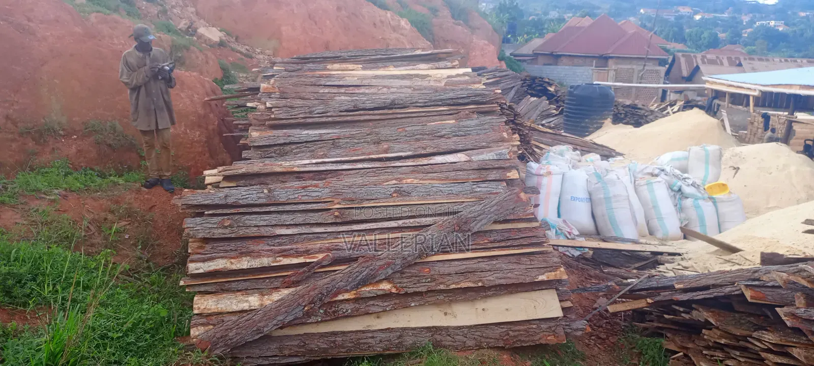 Makooko Tree Offcuts