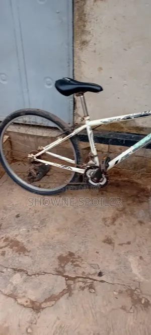 Bike for Transport