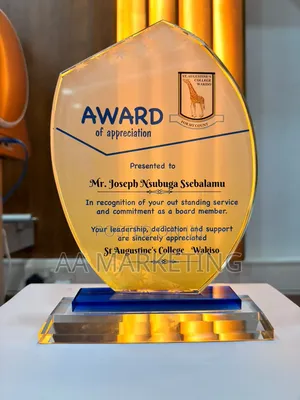Awards and Accolades