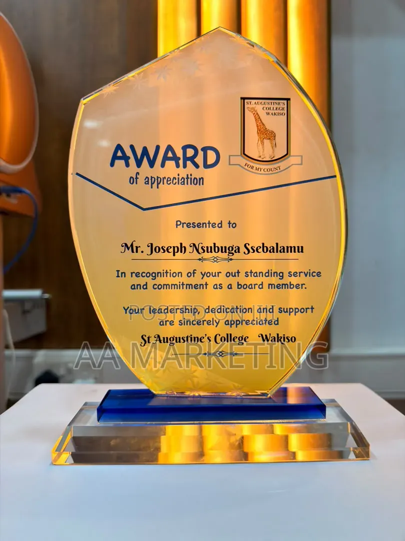 Awards and Accolades