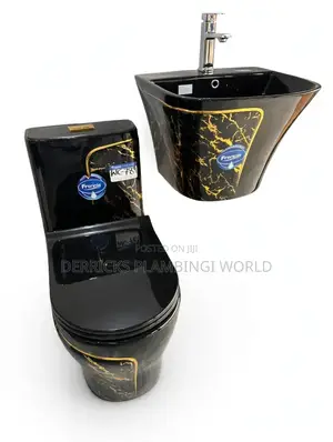 Toilet Seat and Besin