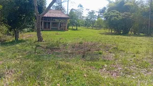 3 Acres Touching R.Nile With Cottage & Borehole , Njeru Municipality