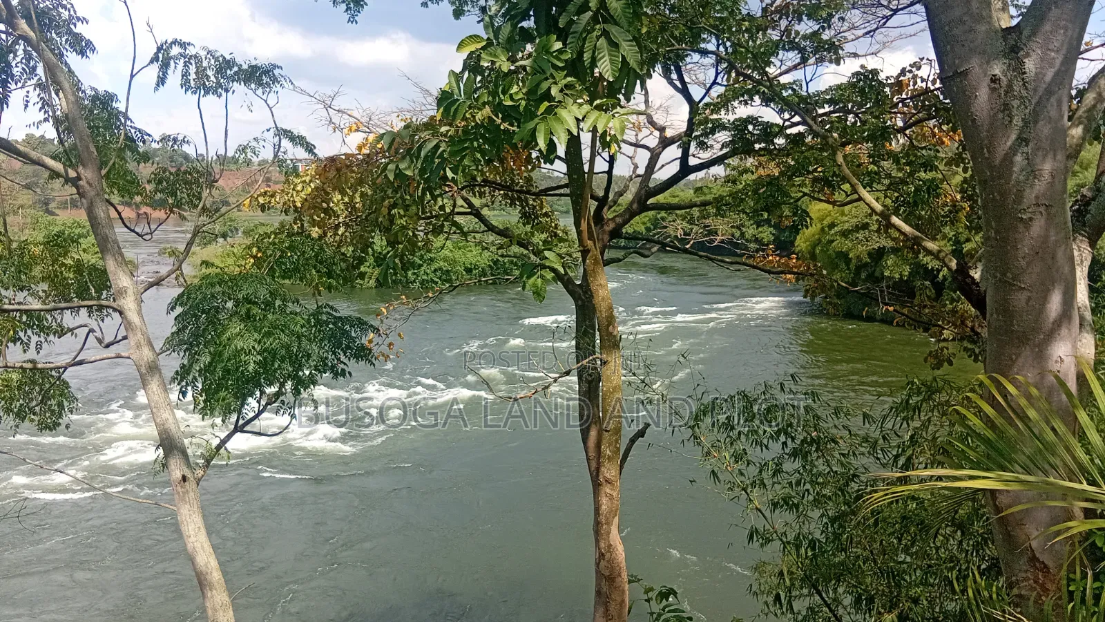 3 Acres Touching R.Nile With Cottage & Borehole , Njeru Municipality