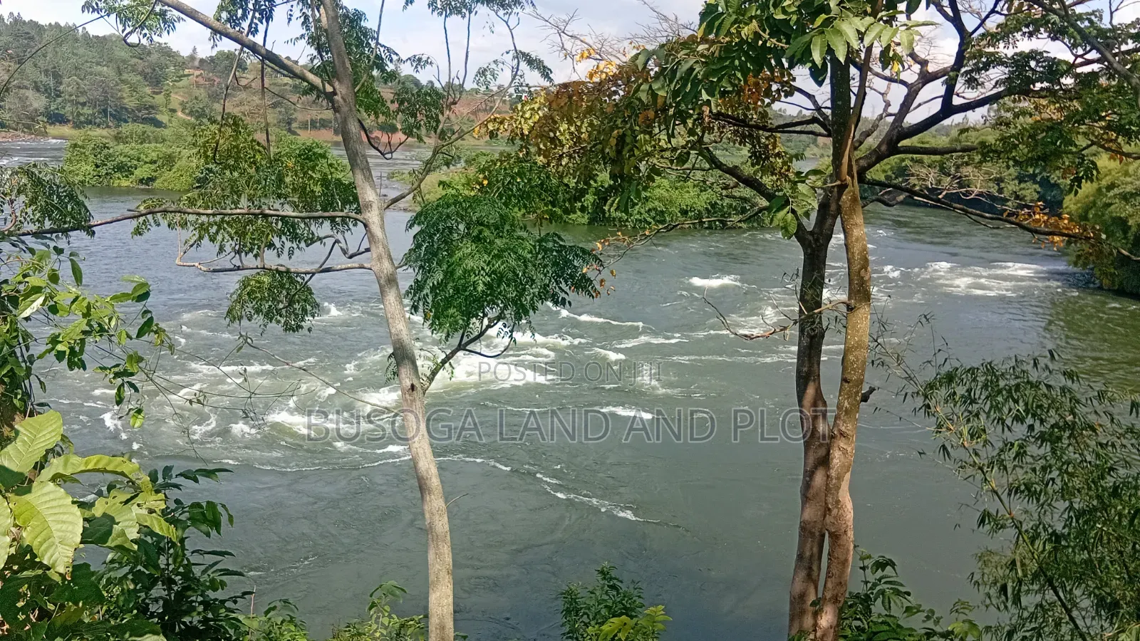 3 Acres Touching R.Nile With Cottage & Borehole , Njeru Municipality
