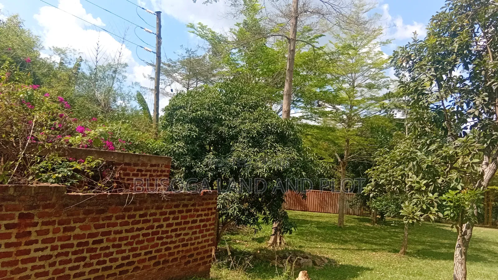 3 Acres Touching R.Nile With Cottage & Borehole , Njeru Municipality
