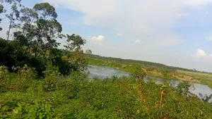 3 Acres Along the Rive Nile, Kangulumira – Ugx 170