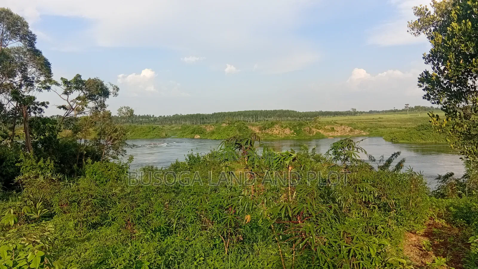 3 Acres Along the Rive Nile, Kangulumira – Ugx 170
