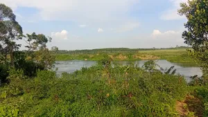 3 Acres Along the Rive Nile, Kangulumira – Ugx 170