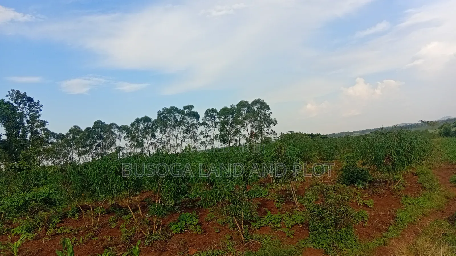3 Acres Along the Rive Nile, Kangulumira – Ugx 170