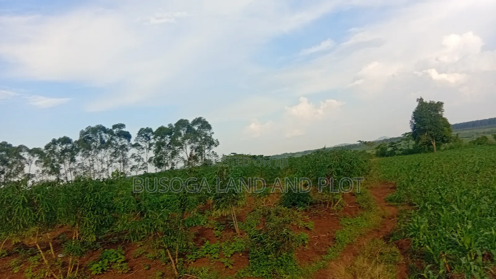 3 Acres Along the Rive Nile, Kangulumira – Ugx 170