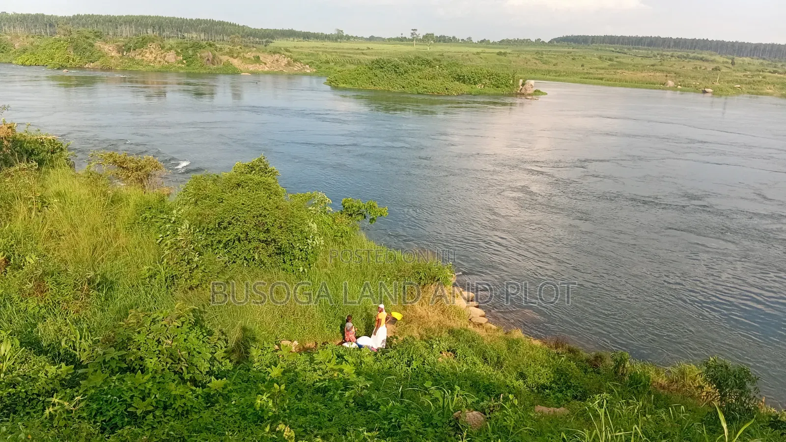 3 Acres Along the Rive Nile, Kangulumira – Ugx 170