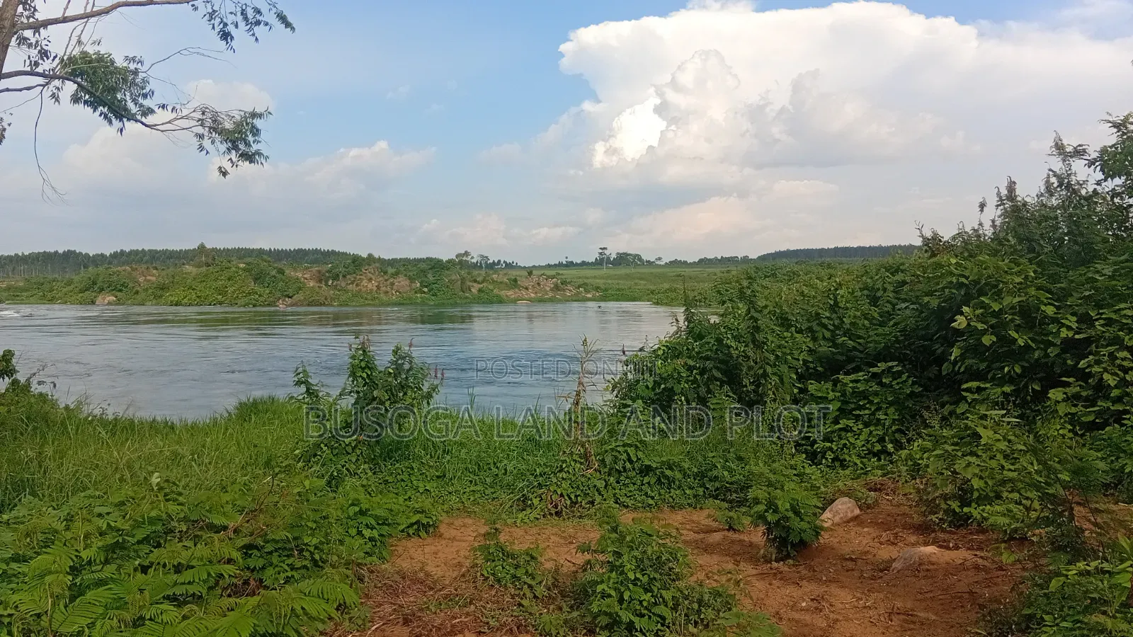 3 Acres Along the Rive Nile, Kangulumira – Ugx 170
