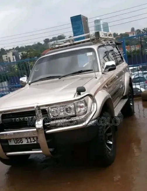 Toyota Land Cruiser 1995 Silver