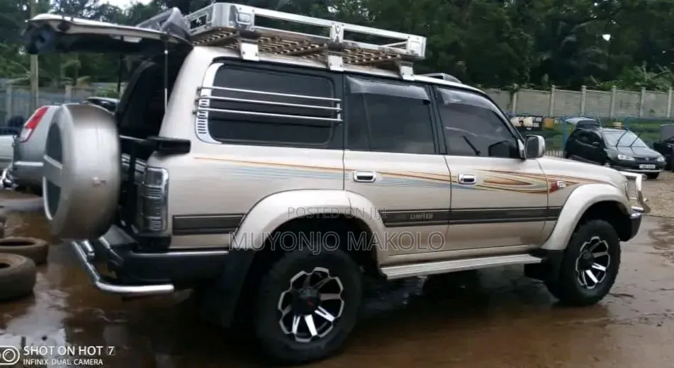 Toyota Land Cruiser 1995 Silver