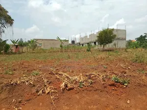 Kyaliwajjala 100x50 Plot for Sale
