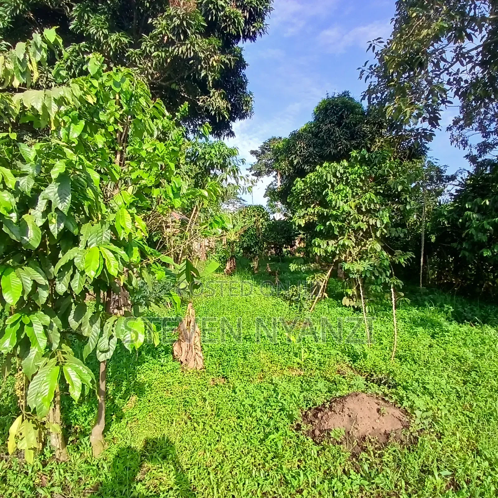 Plot for Sale Titled