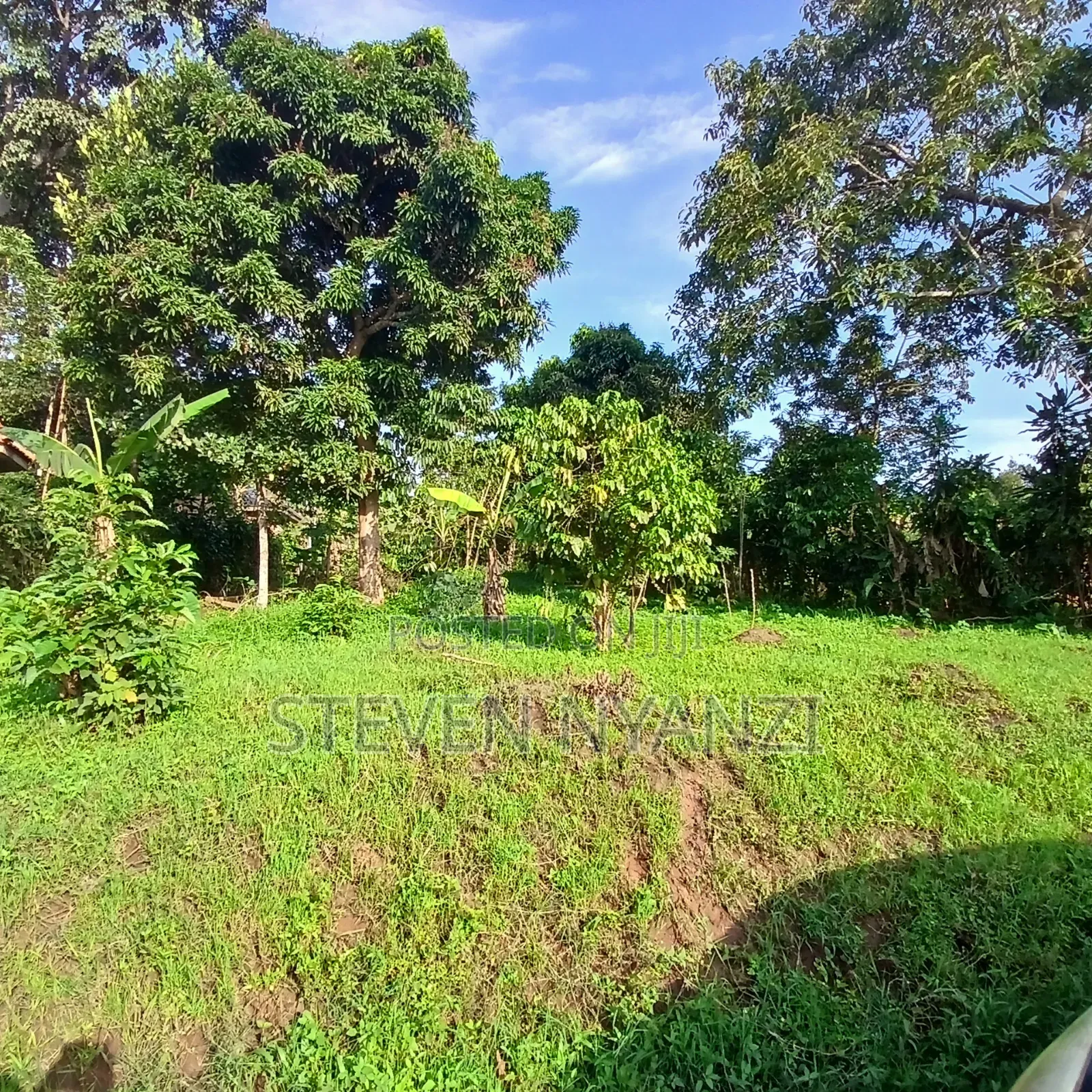 Plot for Sale Titled