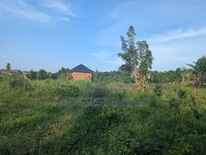 110ft X 40ft Plot for Sale in Mukono