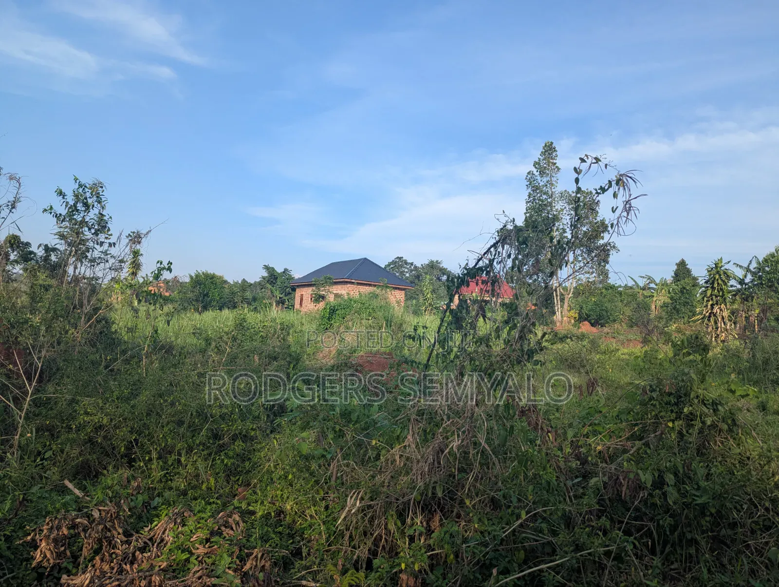 110ft X 40ft Plot for Sale in Mukono
