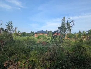 110ft X 40ft Plot for Sale in Mukono