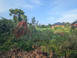 110ft X 40ft Plot for Sale in Mukono