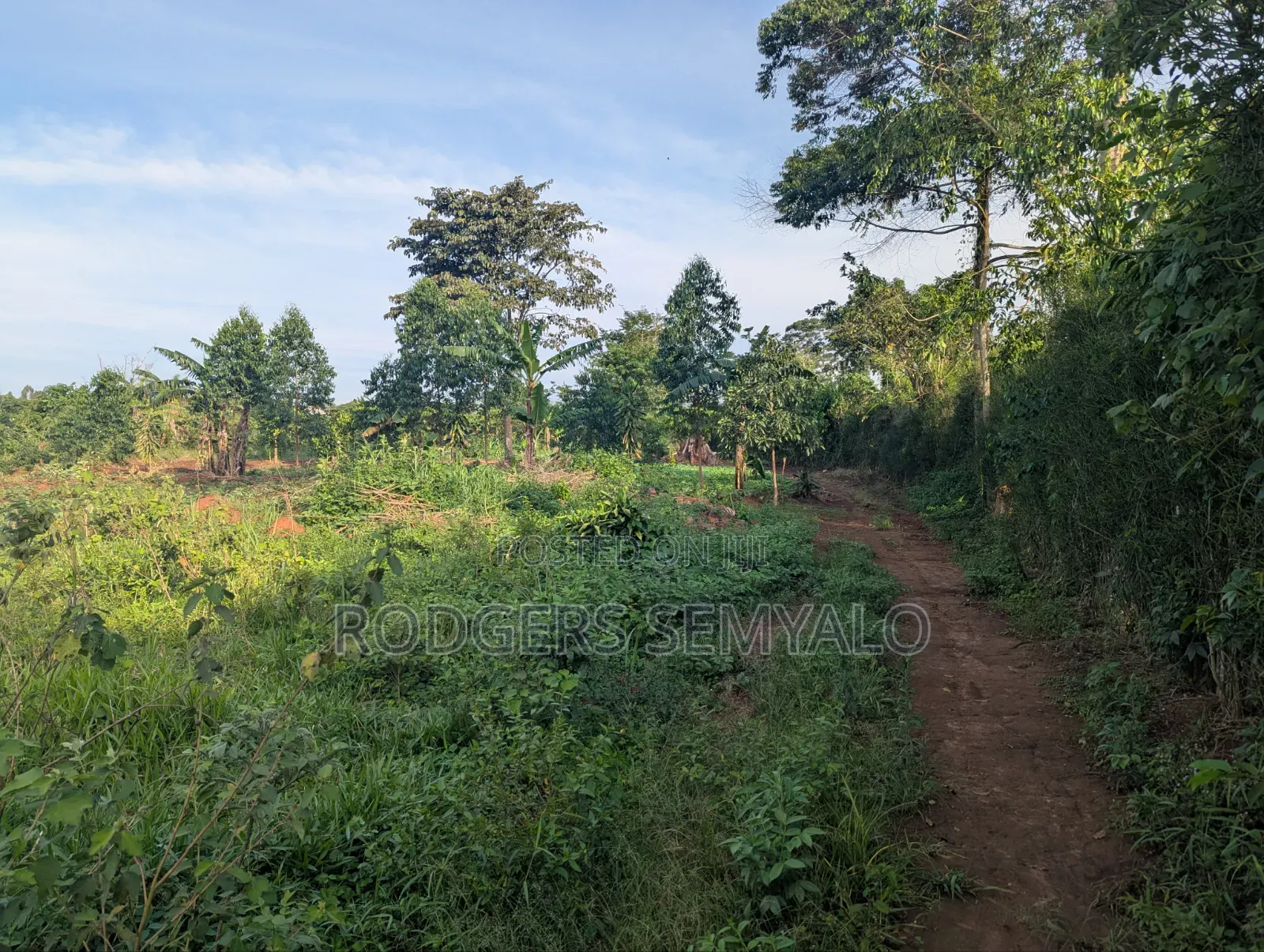 110ft X 40ft Plot for Sale in Mukono