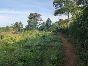 110ft X 40ft Plot for Sale in Mukono