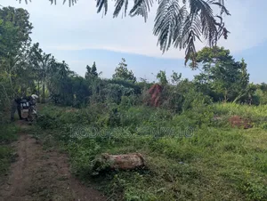 110ft X 40ft Plot for Sale in Mukono