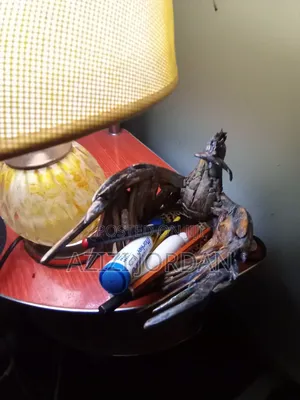 Driftwood Pen and Pencil Holder