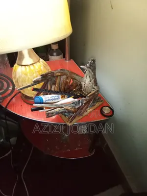 Driftwood Pen and Pencil Holder