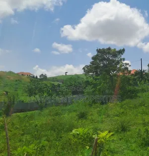 5 Sq Miles Nakaseke Prime Land Mailo Land Title