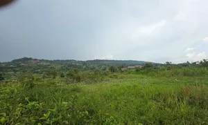 5 Sq Miles Nakaseke Prime Land Mailo Land Title