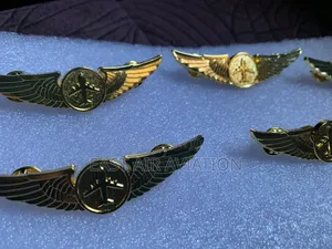 Pilot Wings Pins