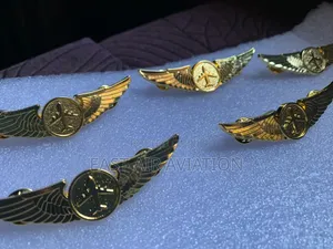 Pilot Wings Pins