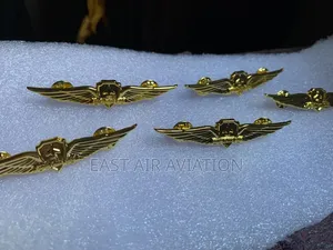 Pilot Wings Pins