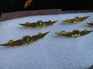 Pilot Wings Pins